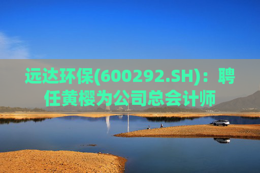 远达环保(600292.SH)：聘任黄樱为公司总会计师