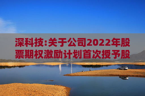 深科技:关于公司2022年股票期权激励计划首次授予股票期权第一个行权期行权条件成就的公告  第1张