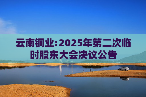 云南铜业:2025年第二次临时股东大会决议公告