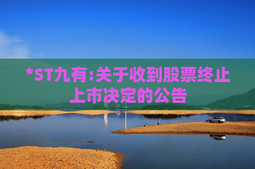 *ST九有:关于收到股票终止上市决定的公告