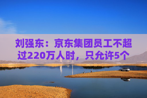 刘强东：京东集团员工不超过220万人时，只允许5个组织层级