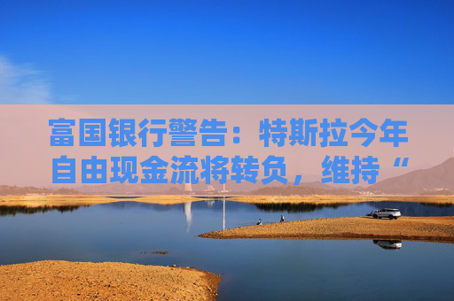 富国银行警告：特斯拉今年自由现金流将转负，维持“卖出”评级  第1张