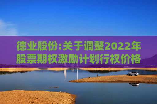 德业股份:关于调整2022年股票期权激励计划行权价格及数量的公告  第1张
