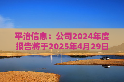 平治信息：公司2024年度报告将于2025年4月29日披露