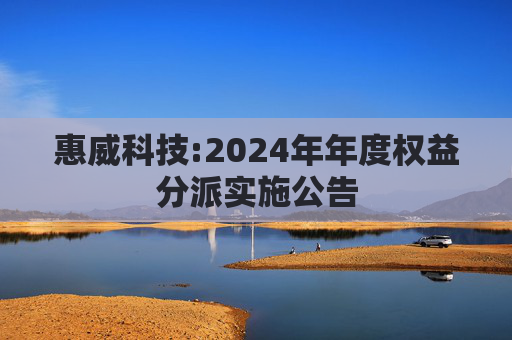 惠威科技:2024年年度权益分派实施公告