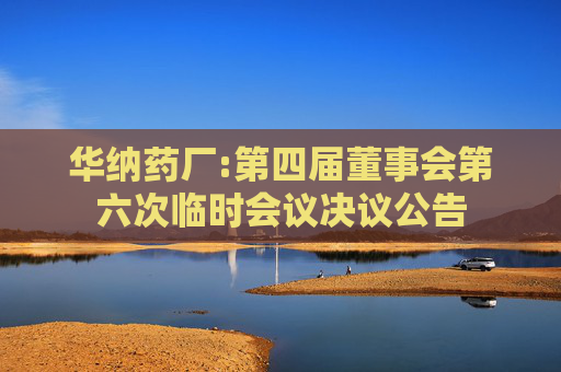 华纳药厂:第四届董事会第六次临时会议决议公告