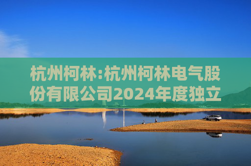 杭州柯林:杭州柯林电气股份有限公司2024年度独立董事述职报告（毛卫民）
