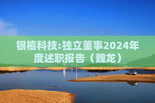 银禧科技:独立董事2024年度述职报告（魏龙）