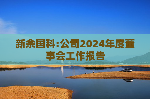 新余国科:公司2024年度董事会工作报告