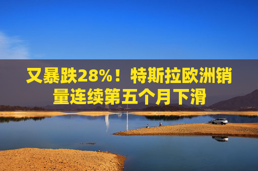 又暴跌28%！特斯拉欧洲销量连续第五个月下滑  第1张