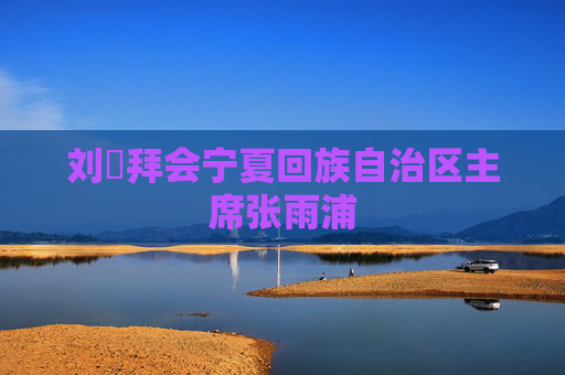 刘珺拜会宁夏回族自治区主席张雨浦