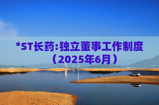 *ST长药:独立董事工作制度（2025年6月）  第1张