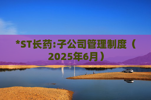 *ST长药:子公司管理制度（2025年6月）