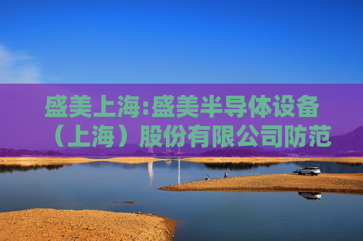 盛美上海:盛美半导体设备（上海）股份有限公司防范控股股东及关联方占用公司资金管理制度  第1张