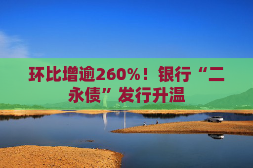 环比增逾260%！银行“二永债”发行升温