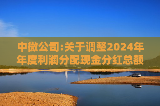 中微公司:关于调整2024年年度利润分配现金分红总额的公告