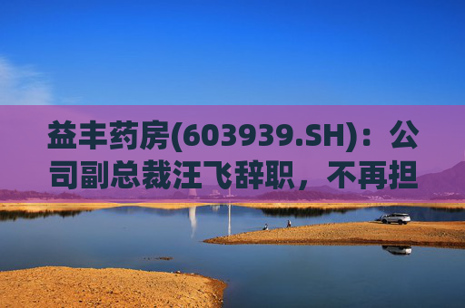 益丰药房(603939.SH)：公司副总裁汪飞辞职，不再担任公司其他职务  第1张
