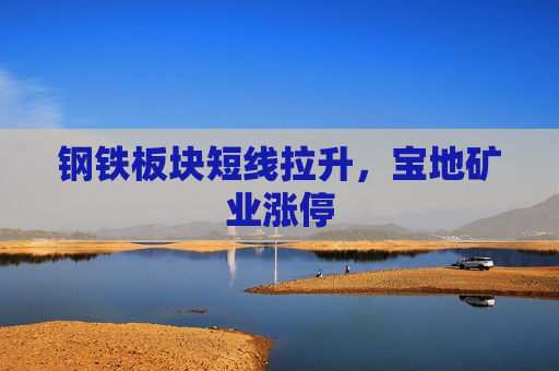 钢铁板块短线拉升，宝地矿业涨停  第1张
