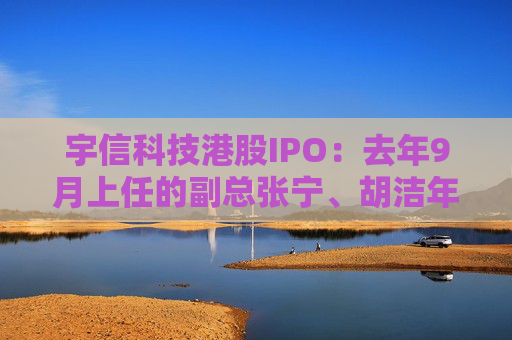 宇信科技港股IPO：去年9月上任的副总张宁、胡洁年薪百万，2015年上任的副总郑春年薪73.5万  第1张