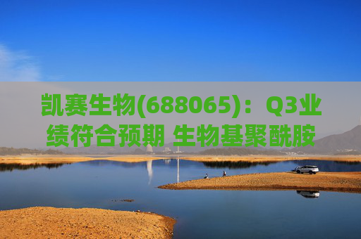 凯赛生物(688065)：Q3业绩符合预期 生物基聚酰胺复材商业化持续推进  第1张
