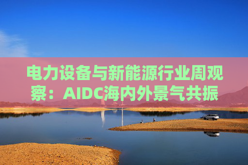 电力设备与新能源行业周观察：AIDC海内外景气共振 储能需求向好发展