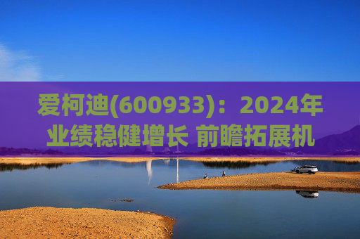 爱柯迪(600933):2024年业绩稳健增长 前瞻拓展机器人相关业务 第1张 爱柯迪(600933):2024年业绩稳健增长 前瞻拓展机器人相关业务 第1张