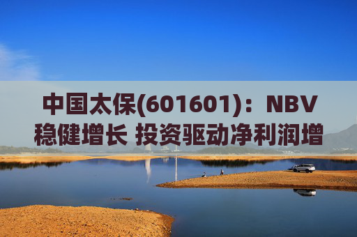 中国太保(601601)：NBV稳健增长 投资驱动净利润增速提升