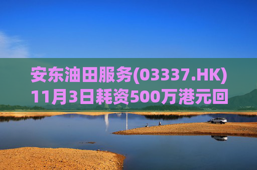 安东油田服务(03337.HK)11月3日耗资500万港元回购472万股  第1张