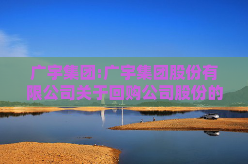 广宇集团:广宇集团股份有限公司关于回购公司股份的进展公告