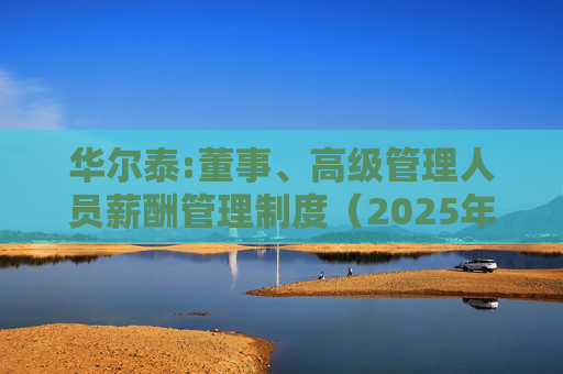 华尔泰:董事、高级管理人员薪酬管理制度（2025年11月）