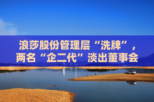 浪莎股份管理层“洗牌”，两名“企二代”淡出董事会  第1张