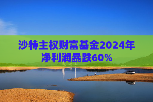 沙特主权财富基金2024年净利润暴跌60%