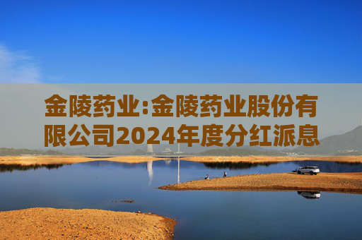 金陵药业:金陵药业股份有限公司2024年度分红派息实施公告