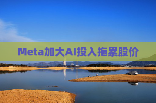Meta加大AI投入拖累股价