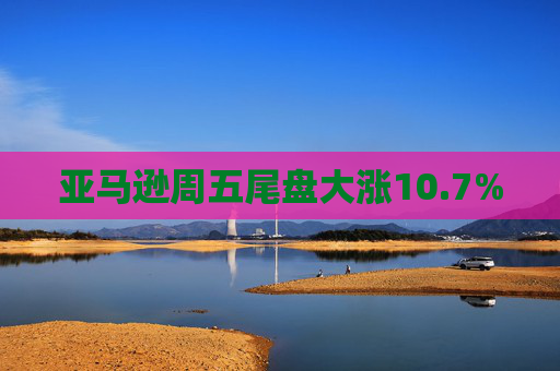 亚马逊周五尾盘大涨10.7%