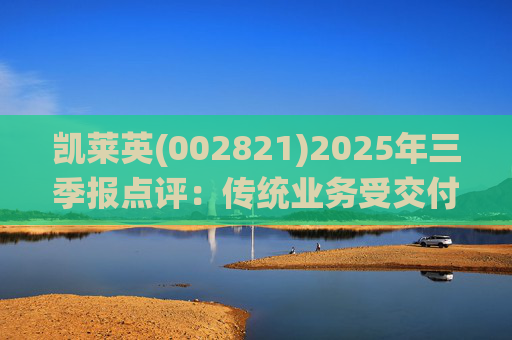 凯莱英(002821)2025年三季报点评：传统业务受交付节奏影响 新兴业务加速放量