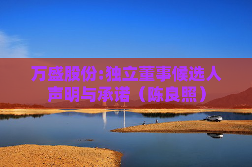万盛股份:独立董事候选人声明与承诺（陈良照）  第1张