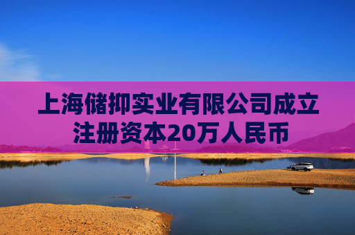 上海储抑实业有限公司成立 注册资本20万人民币
