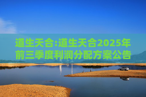 道生天合:道生天合2025年前三季度利润分配方案公告  第1张