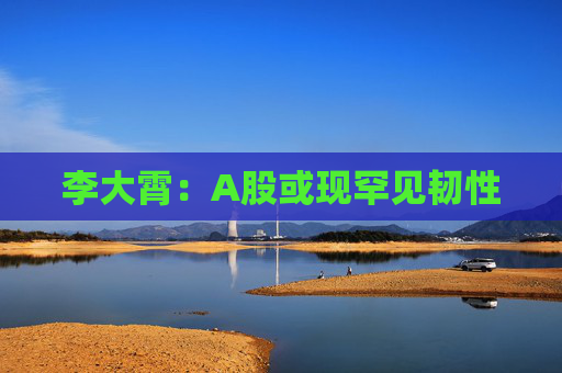 李大霄：A股或现罕见韧性  第1张