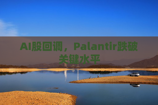 AI股回调，Palantir跌破关键水平