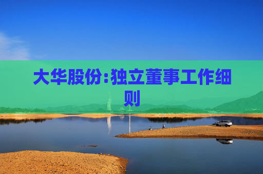 大华股份:独立董事工作细则