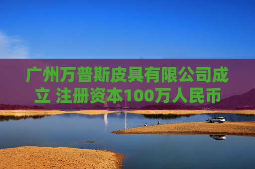 广州万普斯皮具有限公司成立 注册资本100万人民币  第1张