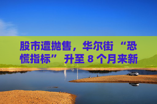股市遭抛售，华尔街 “恐慌指标” 升至 8 个月来新高  第1张