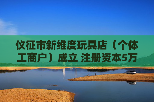 仪征市新维度玩具店（个体工商户）成立 注册资本5万人民币  第1张