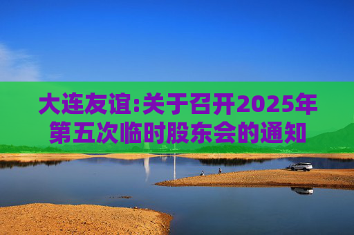 大连友谊:关于召开2025年第五次临时股东会的通知