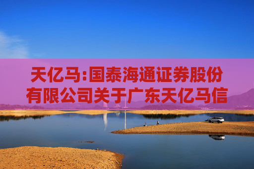 天亿马:国泰海通证券股份有限公司关于广东天亿马信息产业股份有限公司本次交易相关主体不存在依据《上市公司监管指引第7号――上市公司重大资产重组相关股票异常交易监管》第十二条不得参与任何上市公司...