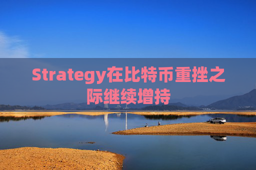 Strategy在比特币重挫之际继续增持