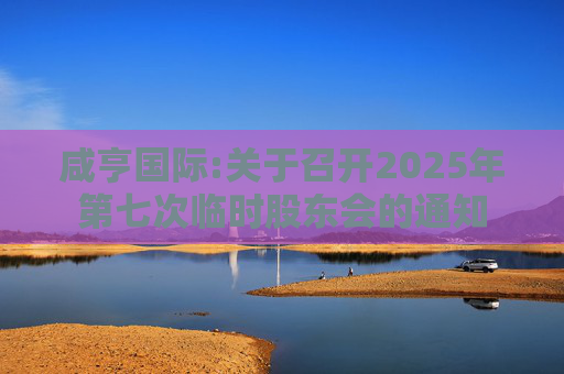 咸亨国际:关于召开2025年第七次临时股东会的通知