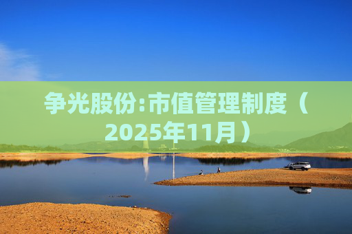 争光股份:市值管理制度（2025年11月）
